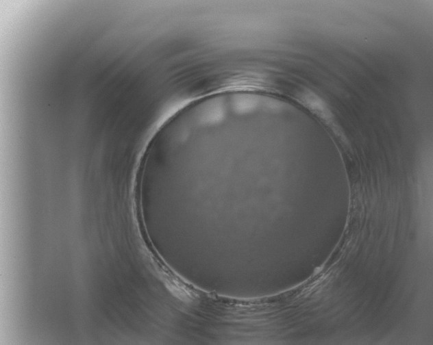 X0000067461427200604142313