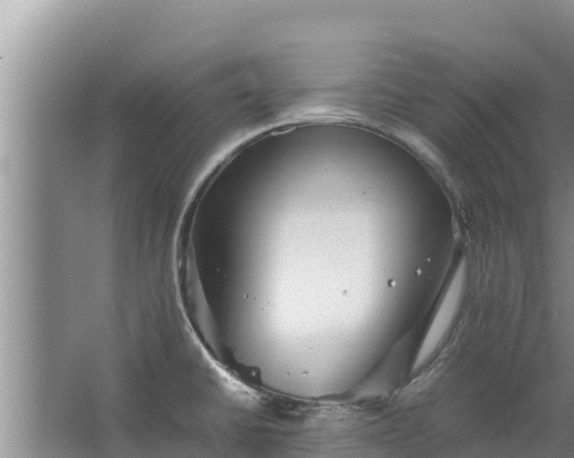 X0000067461430200604142313