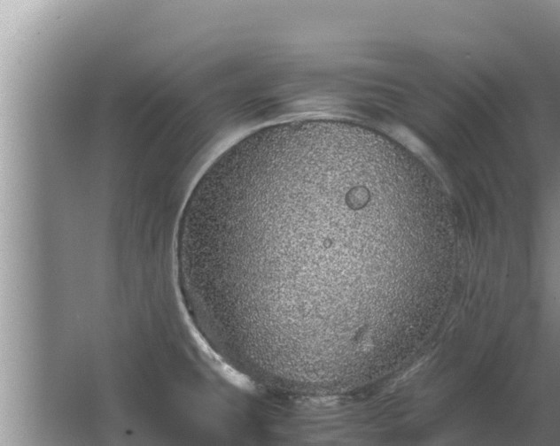 X0000067461431200604142313