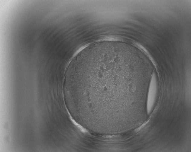 X0000067461433200604142313