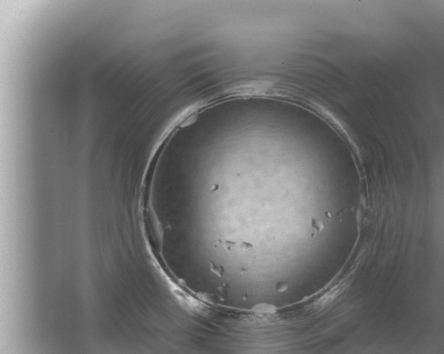 X0000067461434200604142313