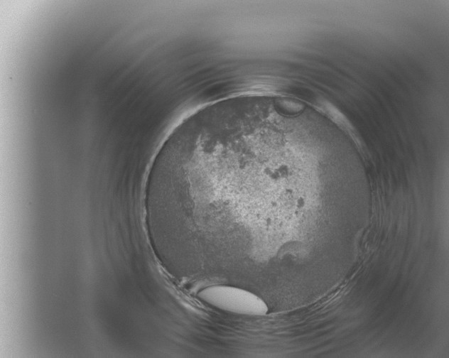 X0000067461435200604142313