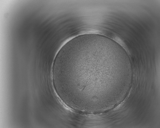 X0000067461436200604142313