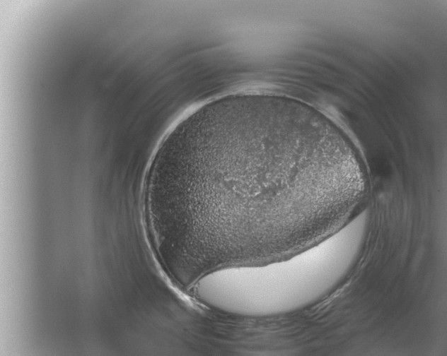 X0000067461437200604142313