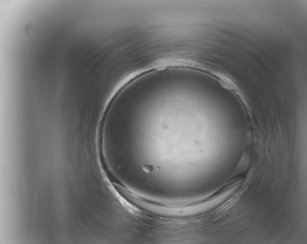 X0000067461438200604142313