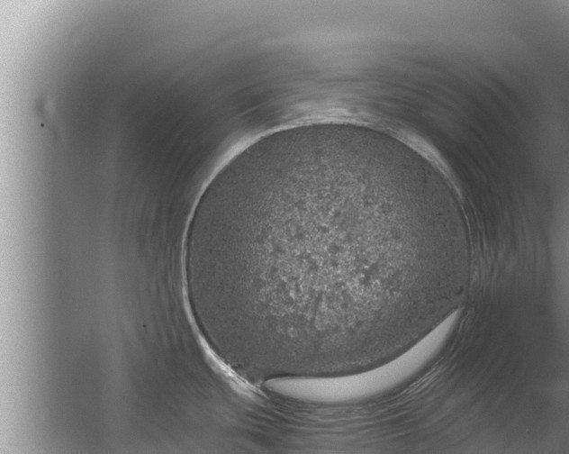 X0000067461439200604142313