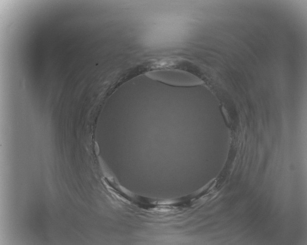 X0000067461441200604142312