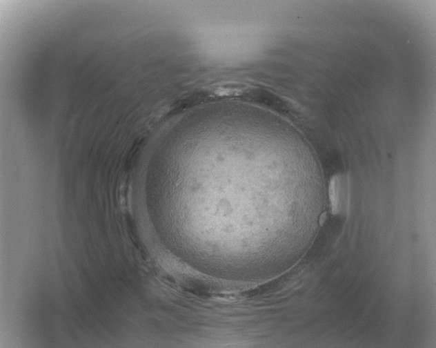 X0000067461443200604142312