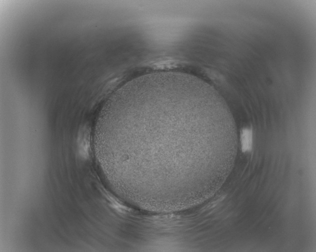 X0000067461444200604142312