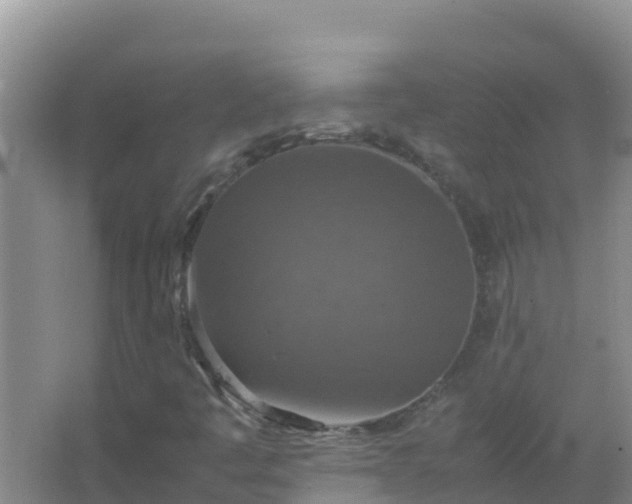 X0000067461445200604142312