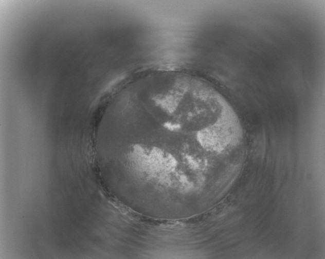 X0000067461446200604142312