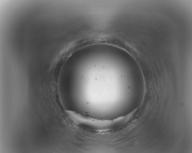 X0000067461447200604142312