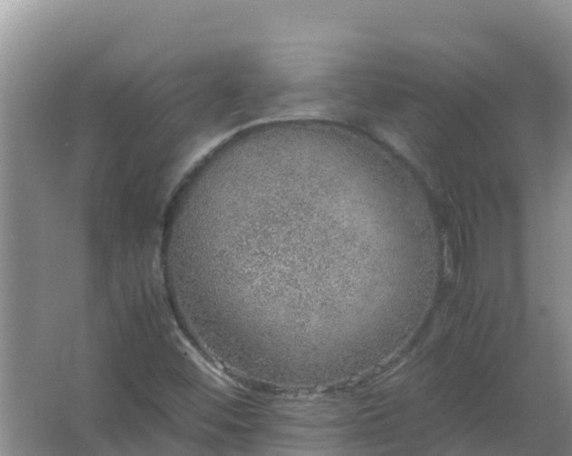 X0000067461452200604142312