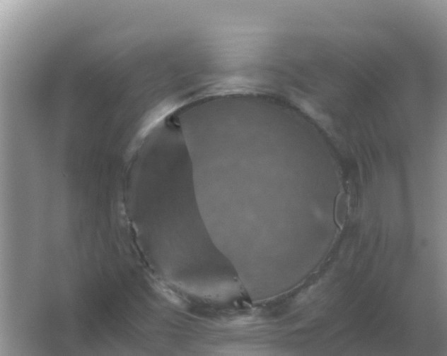 X0000067461453200604142312