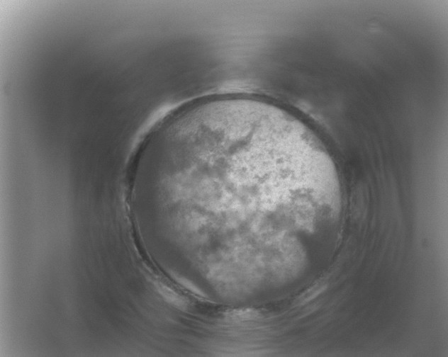 X0000067461454200604142312