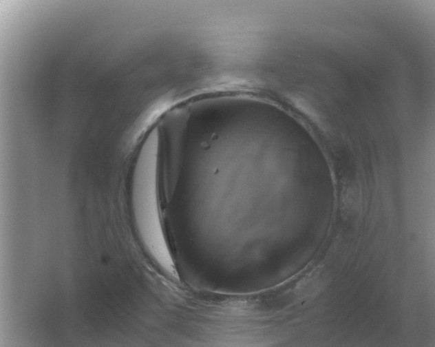 X0000067461455200604142312