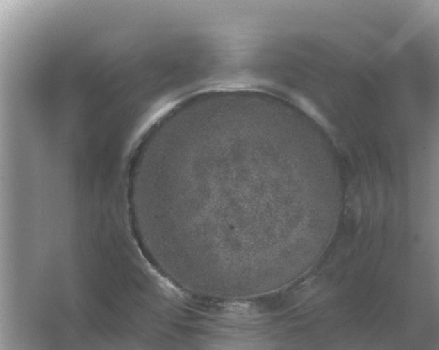 X0000067461456200604142312