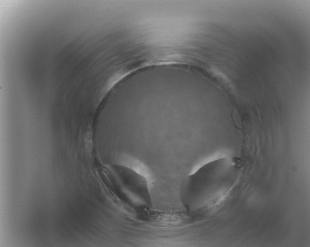 X0000067461457200604142312