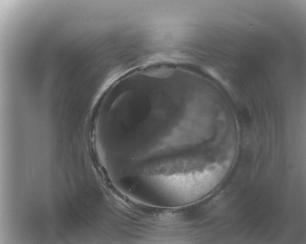 X0000067461459200604142312