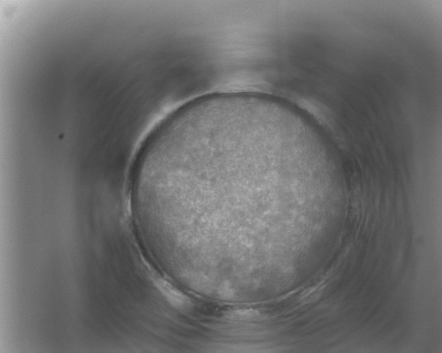 X0000067461462200604142312