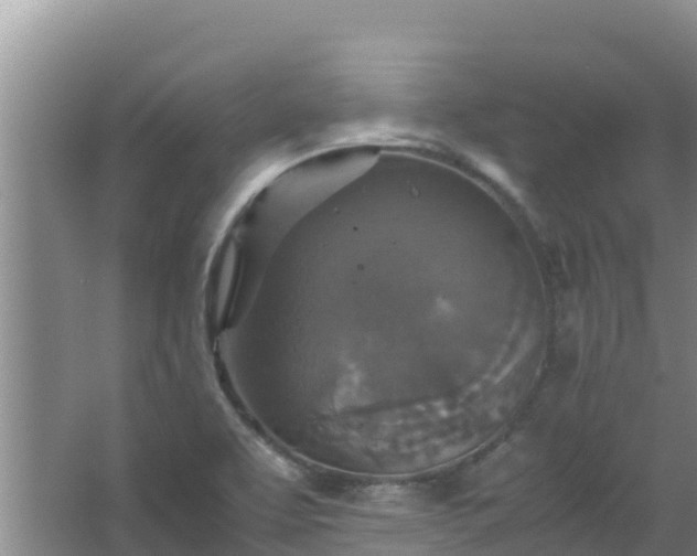 X0000067461463200604142312