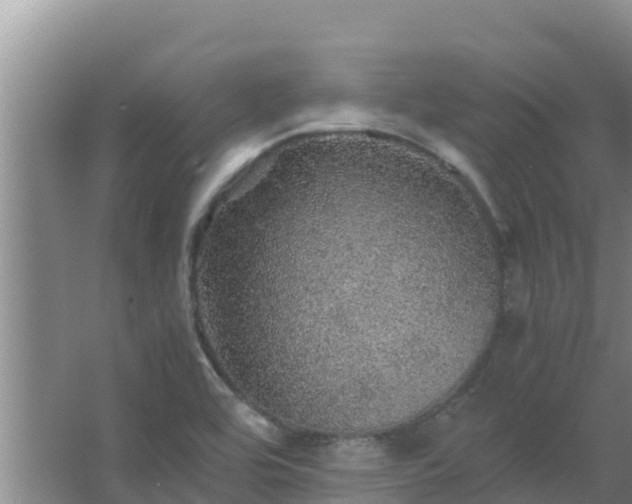 X0000067461464200604142312