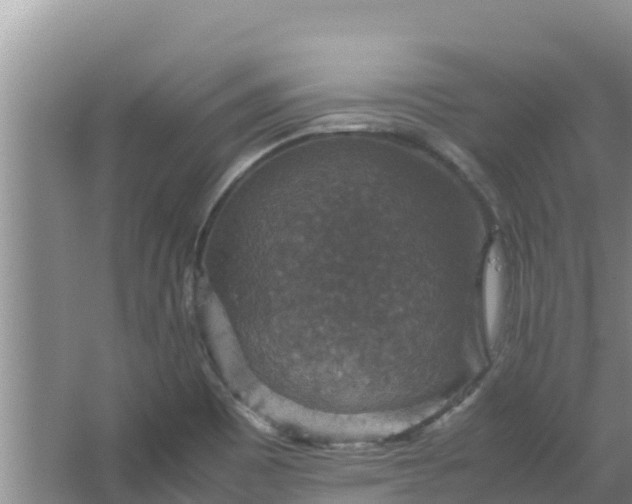 X0000067461465200604142312