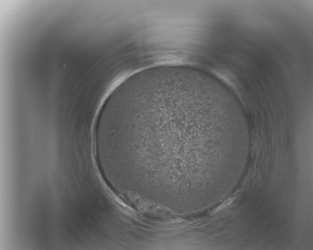 X0000067461467200604142312