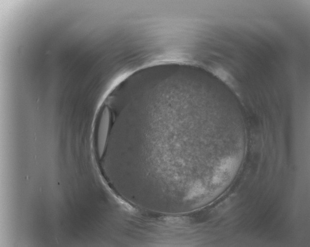 X0000067461469200604142312