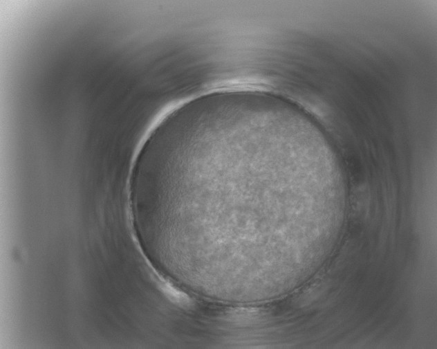 X0000067461470200604142312