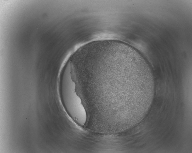 X0000067461472200604142312