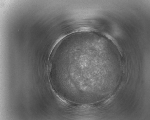 X0000067461473200604142312