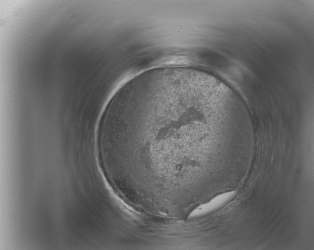 X0000067461475200604142312