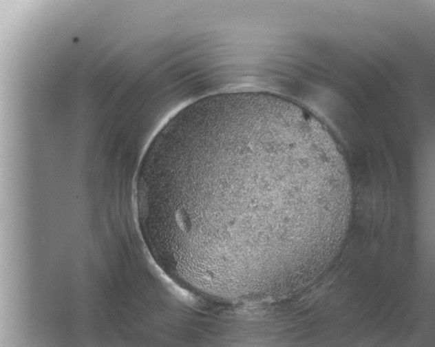 X0000067461476200604142312