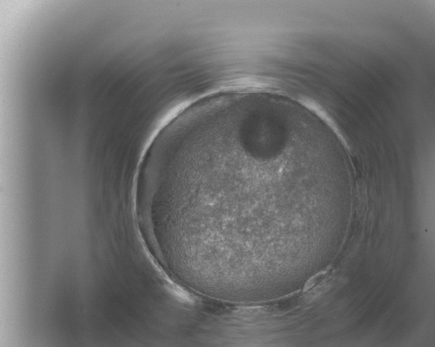 X0000067461477200604142312