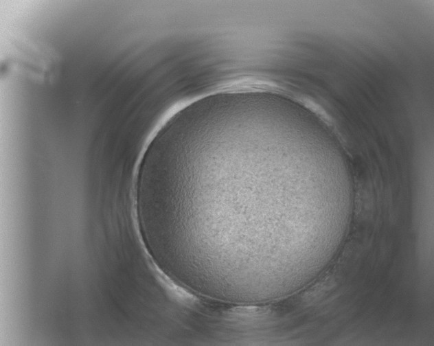 X0000067461478200604142312