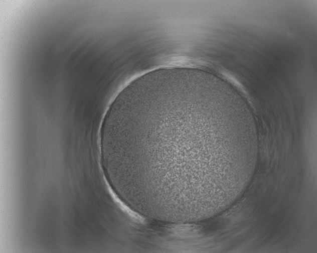 X0000067461479200604142312