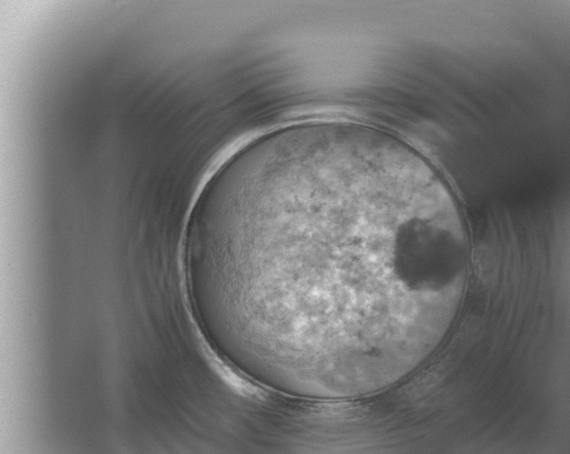 X0000067461482200604142312