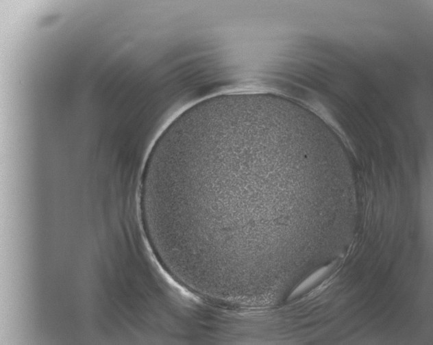 X0000067461484200604142312