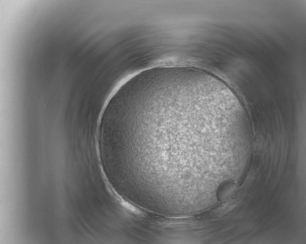 X0000067461486200604142312