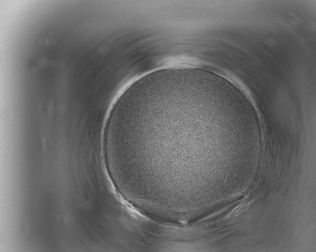 X0000067461488200604142312