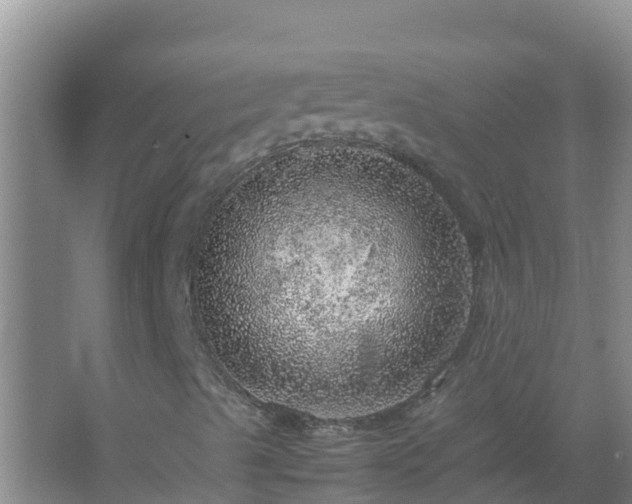 X0000067461489200604142311