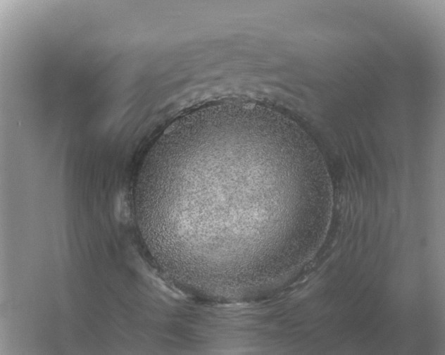 X0000067461490200604142311