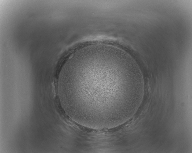 X0000067461493200604142311