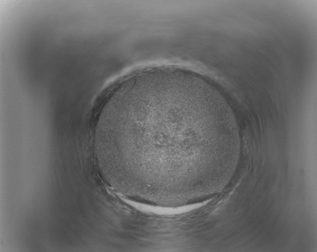 X0000067461494200604142311