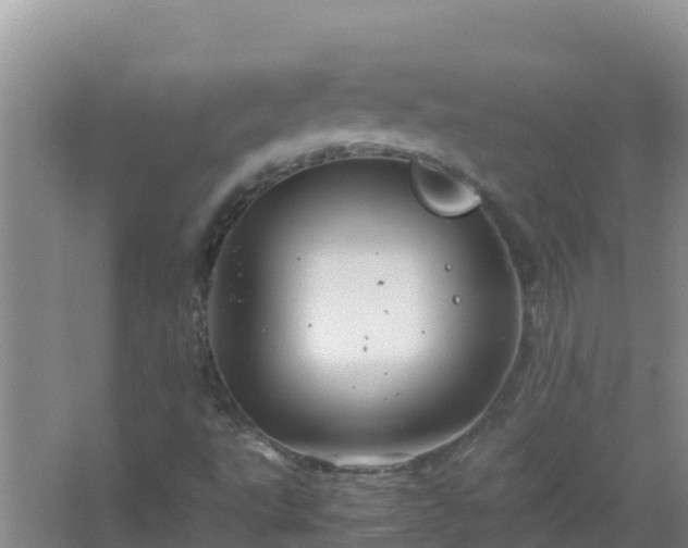 X0000067461495200604142311