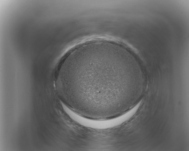 X0000067461496200604142311