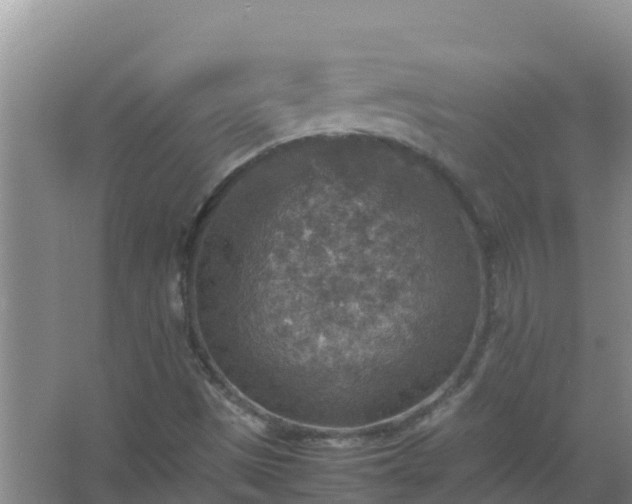 X0000067461497200604142311