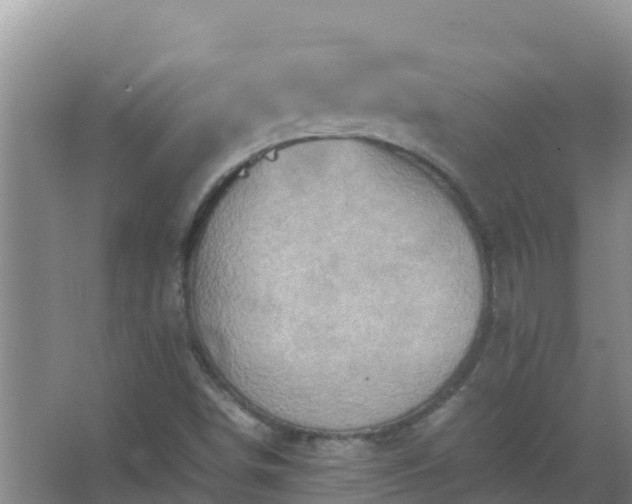 X0000067461498200604142311