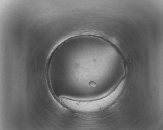 X0000067461500200604142311